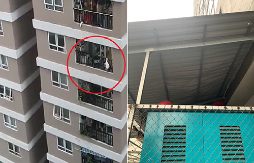 Thót tim, bé gái 2 tuổi rơi từ tầng 12 chung cư xuống đất